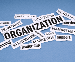 5 Pillars of a successful Learning Organization culture