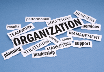 5 Pillars of a successful Learning Organization culture